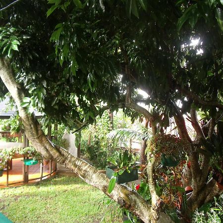 Les Agapanthes Vila Le Tampon Exterior foto