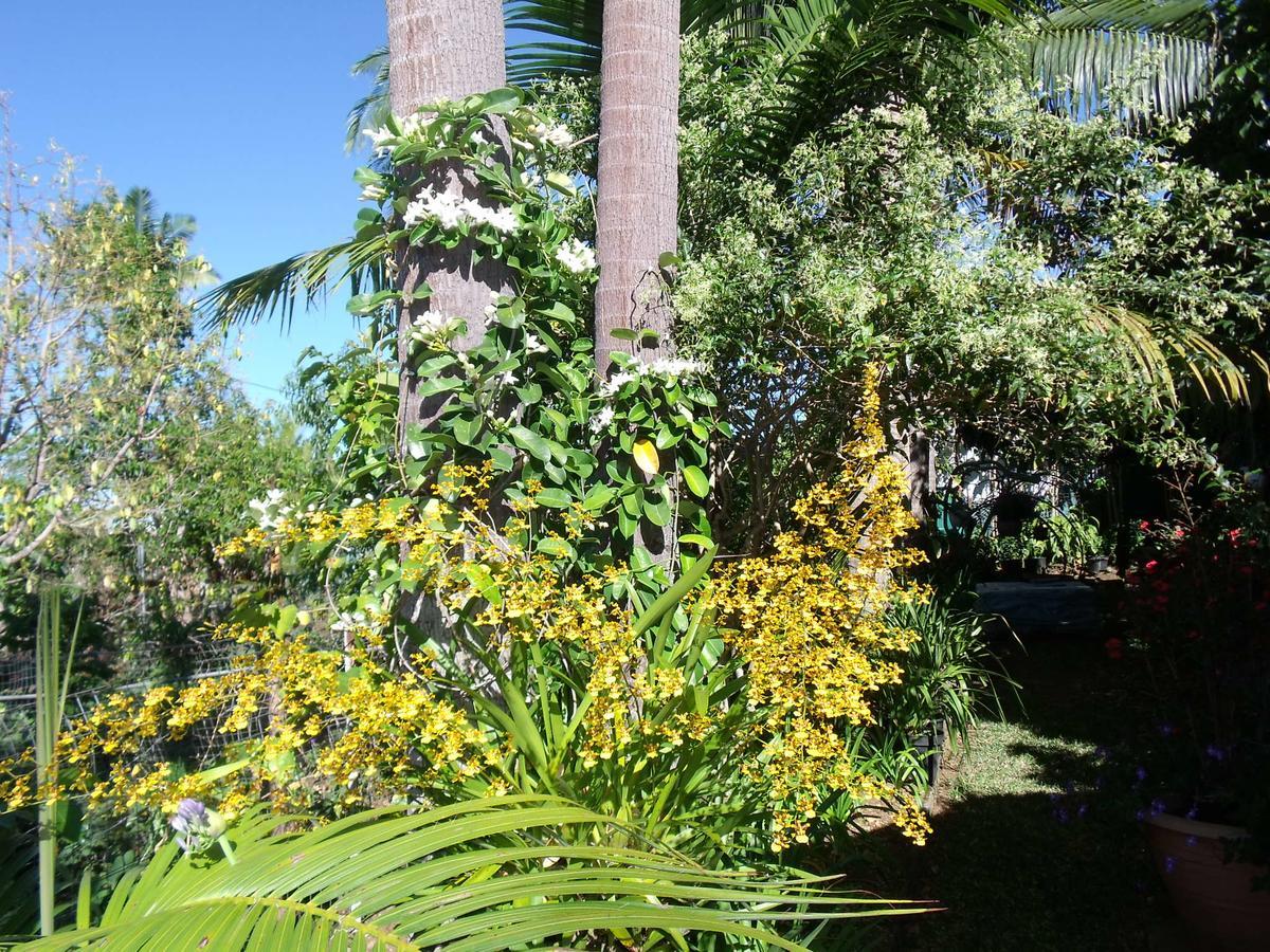 Les Agapanthes Vila Le Tampon Exterior foto