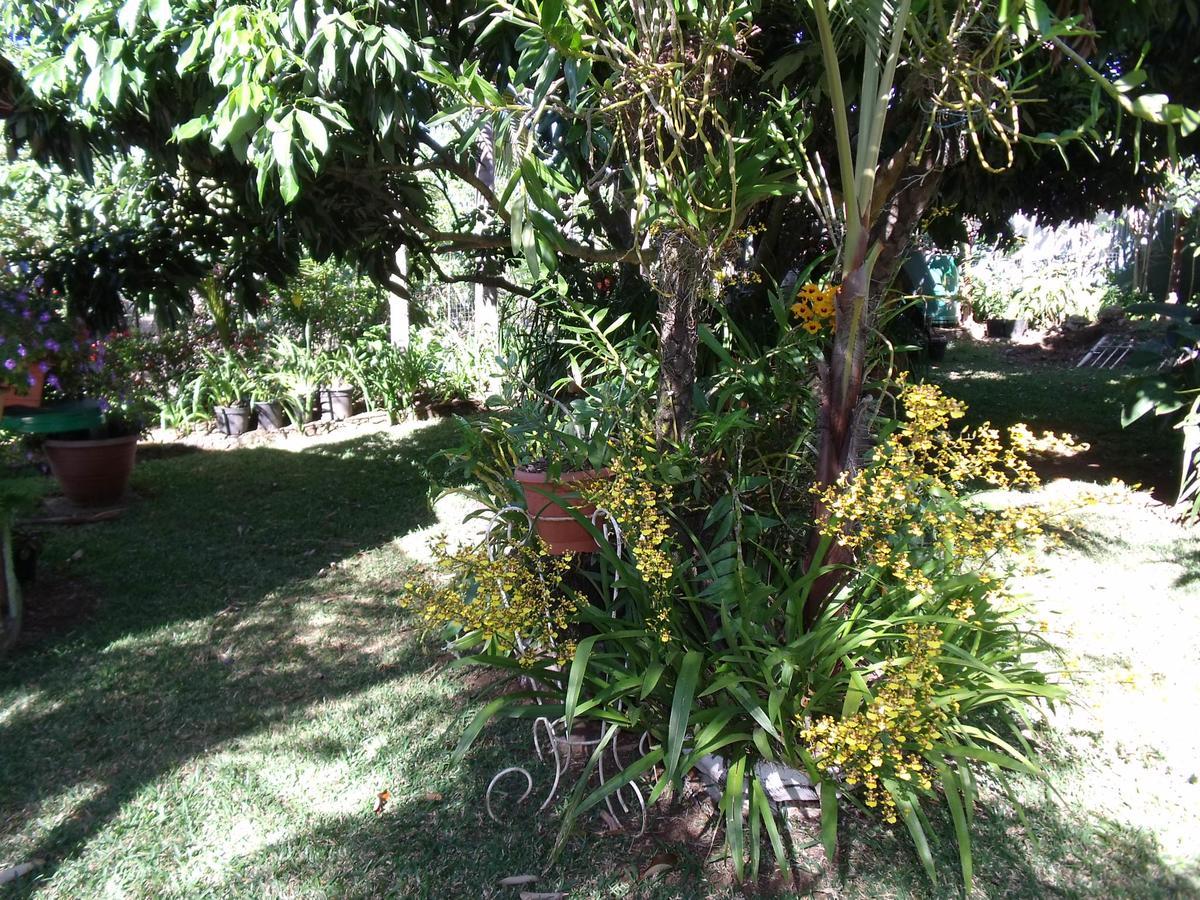 Les Agapanthes Vila Le Tampon Exterior foto
