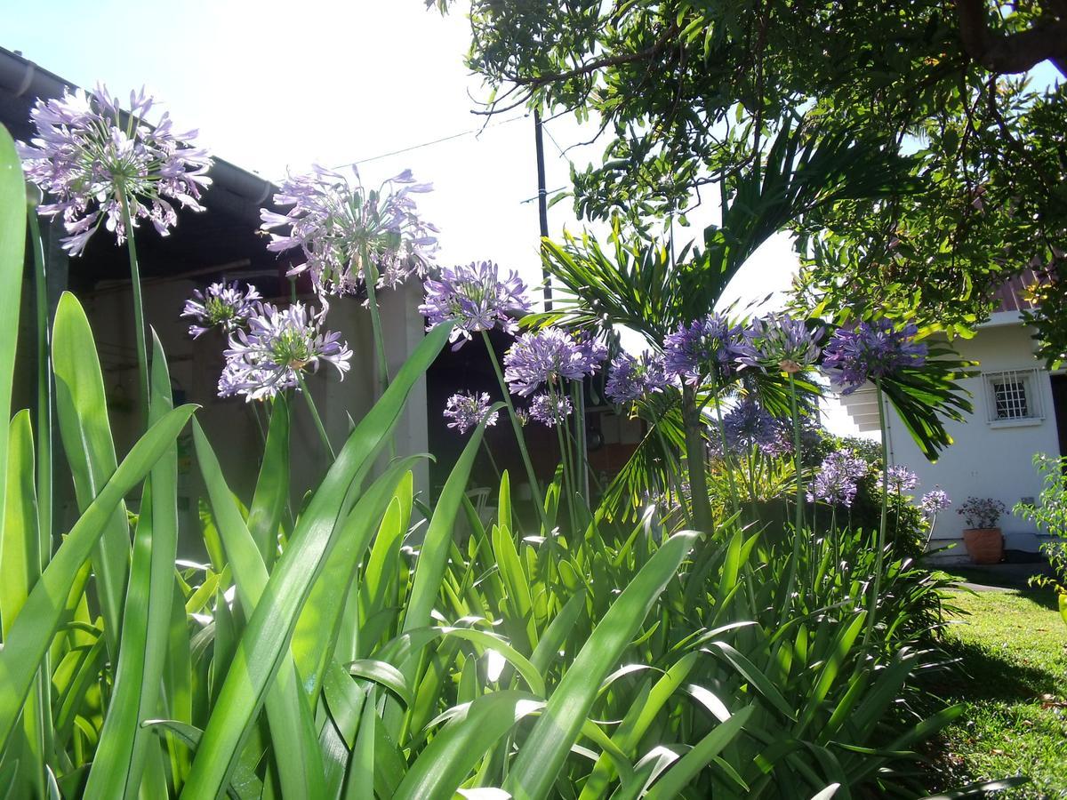 Les Agapanthes Vila Le Tampon Exterior foto