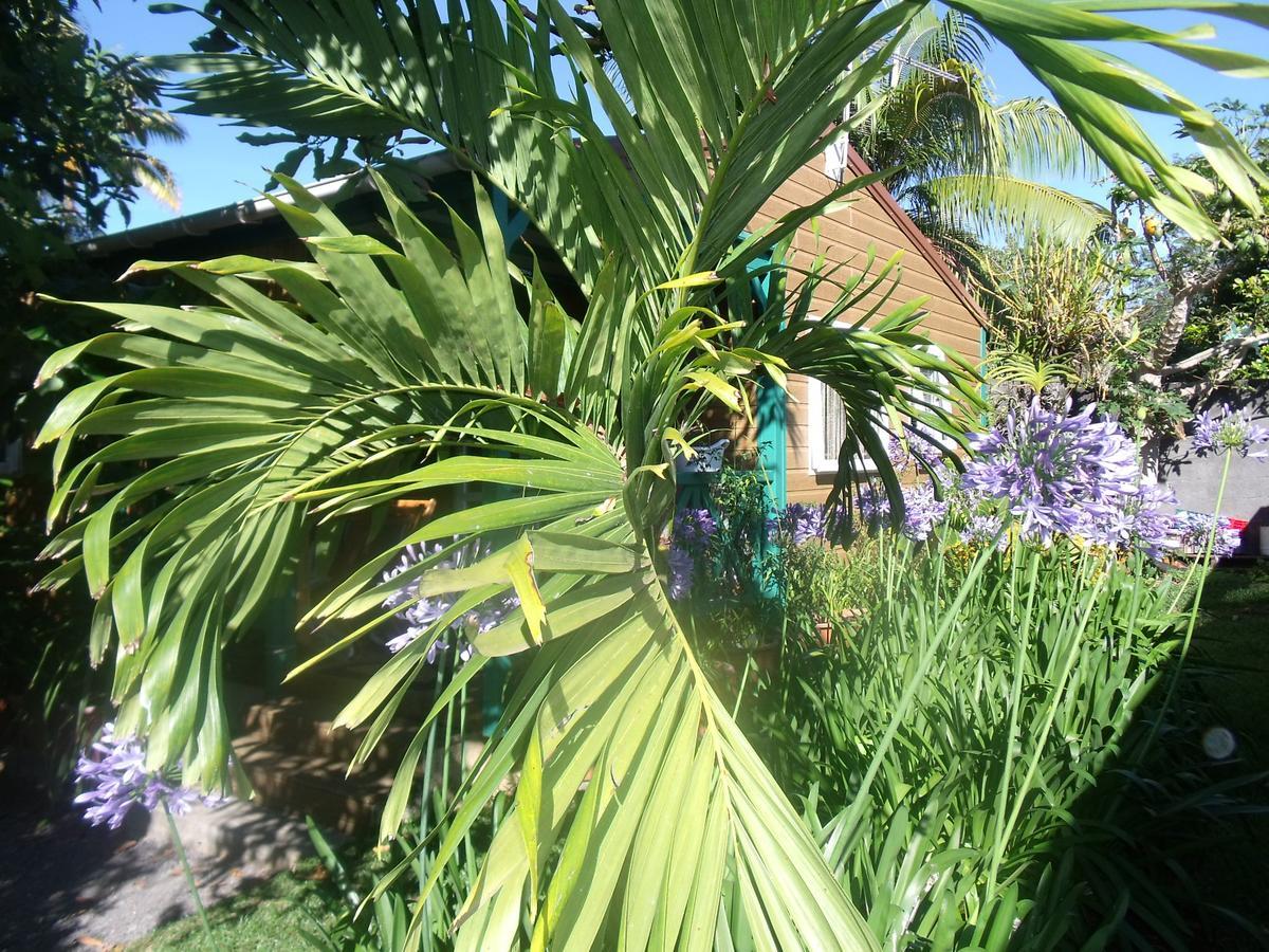 Les Agapanthes Vila Le Tampon Exterior foto