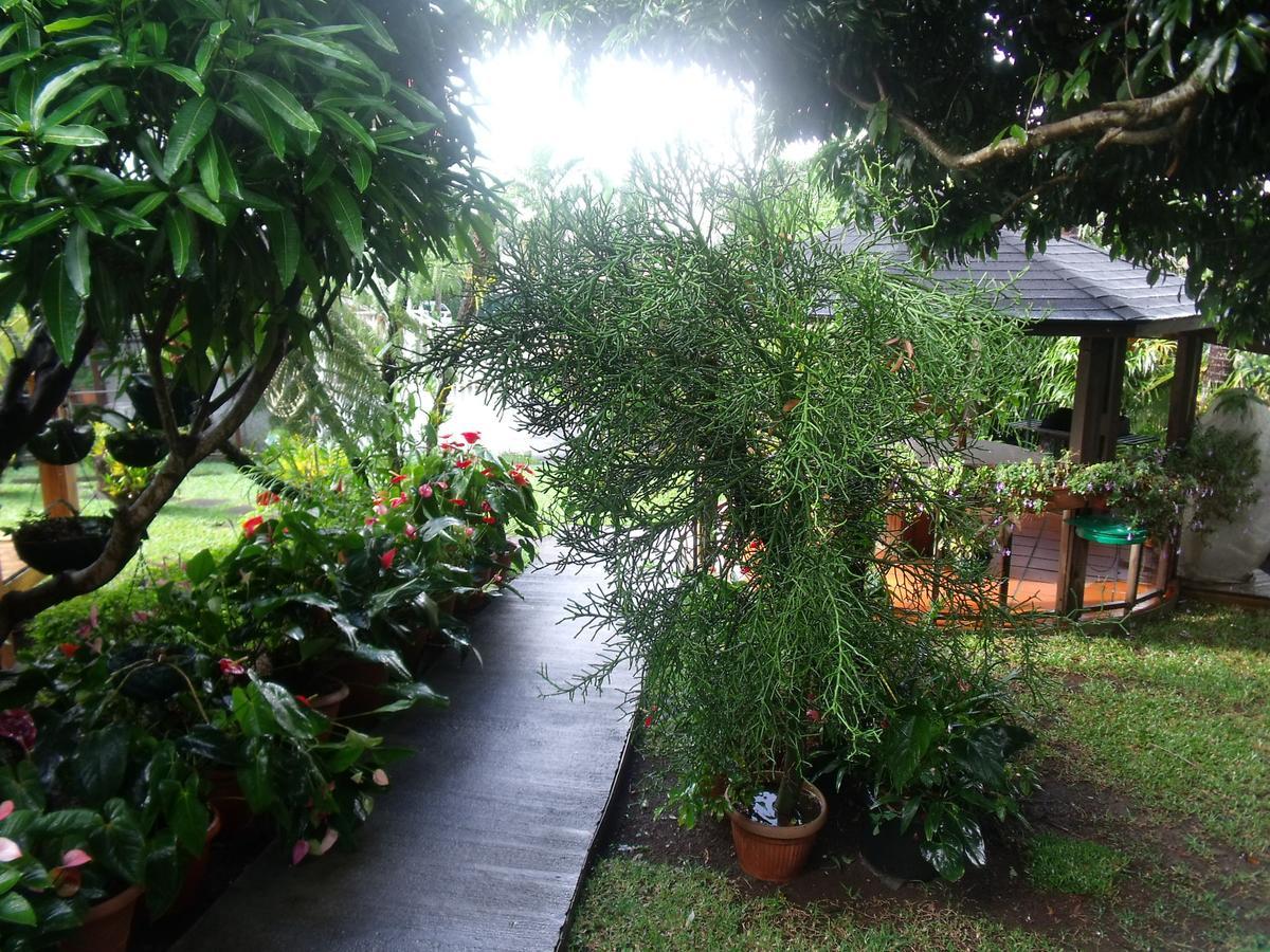 Les Agapanthes Vila Le Tampon Exterior foto