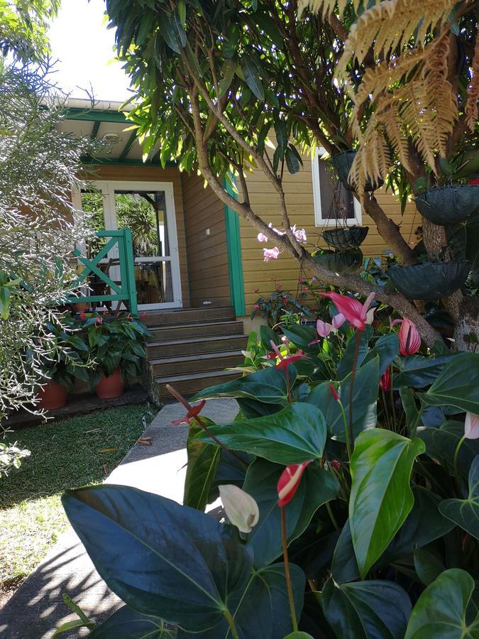 Les Agapanthes Vila Le Tampon Exterior foto